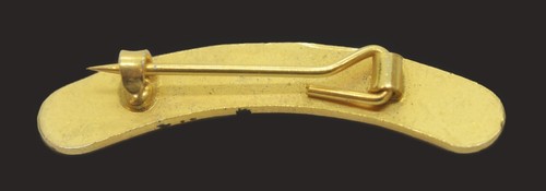 Hinderton Hall-G.W.R Railway Train Locomotive Name Plate Pin Badge - Foto 2 di 2