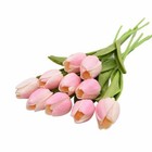 Bild 13 von 26