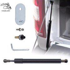 Dz43200 For Ford F-150 2004-2014 Tailgate Assist Lift Support Shock Struts Rod Dz43200 For Ford F-150 2004-2014 Tailgate Assist Lift Support Shock Struts Rod