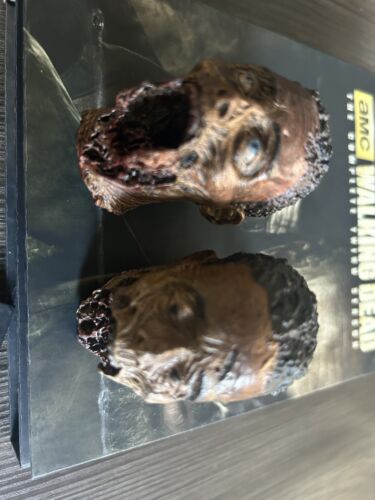 The Walking Dead Season 3 Limited Edition Blu-Ray Zombie Head Fish Tank - Picture 5 of 9