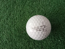 Logo Golf Ball - Palmer Golf Course Invitational / Delta Constructors