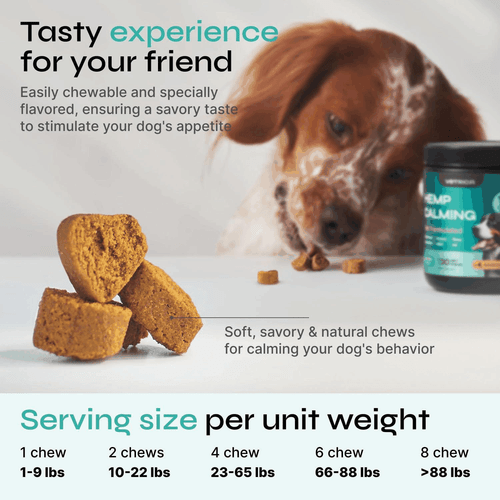 Calming Chews for Dogs Anxiety Relief Hemp Calming Chews for Dogs with - Picture 3 of 9