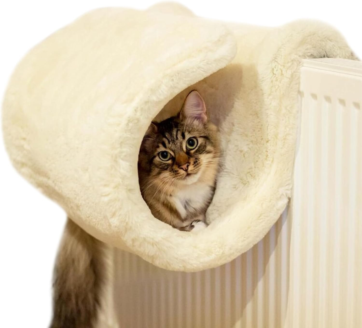 Luxury Cat Tunnel: Un Abbraccio Morbido per il Tuo Gatto