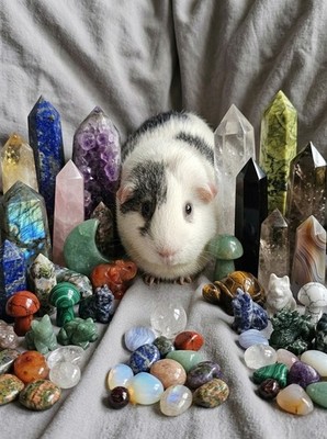  MY GUINEA PIG ''INTUITIVELY'' PICKS CRYSTALS FOR YOU!  Towers Tumbles Carvings!