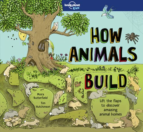 Lonely Planet Kids How Animals Build by Moira Butterfield: New