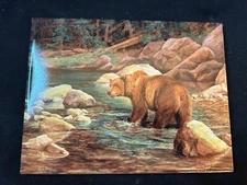 Julie Jeppsen Animal Art Ceramic Tile 8”x6” 'Bearly Wet" Grizzly Bear