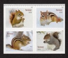 Scott #6129-6132 Squirrels & Chipmunks Booklet Block of 4 Forever Stamps - MNH