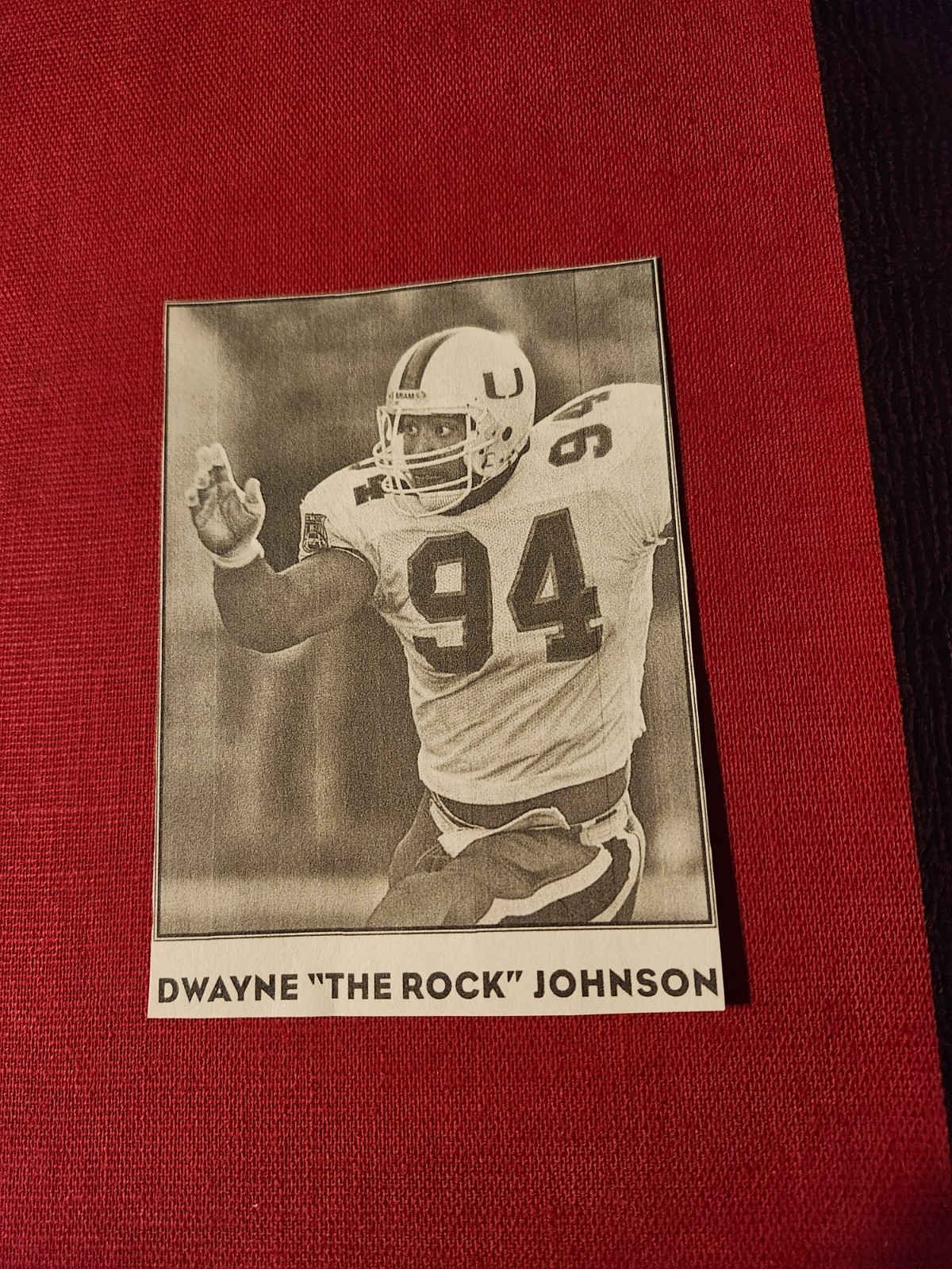 Dwayne "The Rock" Johnson College Panel-EXT! view 2