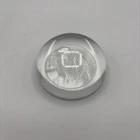 Steuben Glass Loon Paperweight