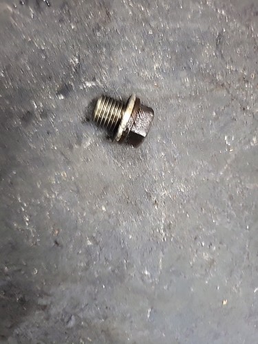 1981 1982 HONDA CB450T HAWK OIL DRAIN PLUG BOLT - Foto 2 di 4