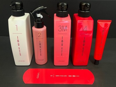 LebeL IAU Cell Care Bottle Type 1 2 3M 4 + 5M Haarkur M Set FedEx