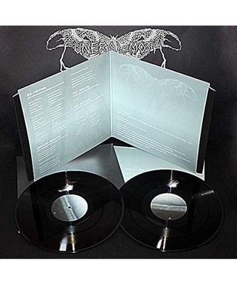 Dense Fog, Funeral Moth