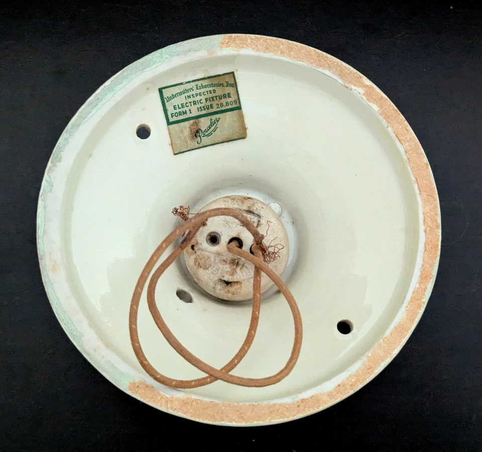 ¡OFERTA!  Apliques de pared eléctricos de porcelana de colección y accesorio de luz de montaje empotrado Rose Buds Foto 4 de 4