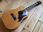 Vintage Circa 1970s' Mountain W-250 D By Hayashi Acoustic Guitar