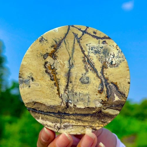 172G Natural Beautiful Chinese Dendritic Limestone Picture Stone Guohua-Rare