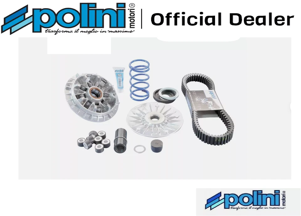 Variatore Polini Hi-Speed con Cinghia Yamaha Tmax 530 560 Evolution 2012 - 2024 - Immagine 3 di 4