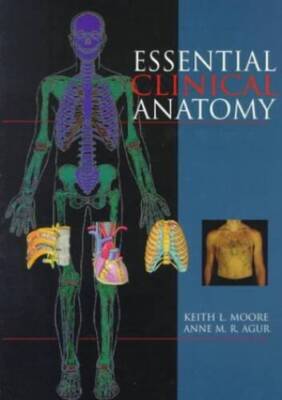 Essential Clinical Anatomy - Paperback By Moore, Keith L. - VERY GOOD