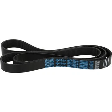 Dayco Llc 5080830SC, один черный резиновый супер зарядное устройство ремень Zl1 Camaro подходит 17-20 - Изображение 3 из 4