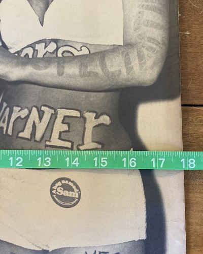 18” x 24” Black & White Poster of a Politician and Swimsuit Model - Pinhole DMG - Picture 2 of 6