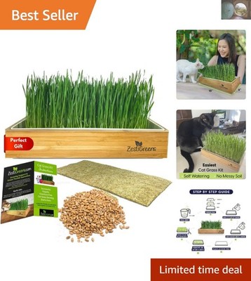 Indoor Self-Watering Cat Grass Kit: Easy Setup, Big Healthy Crop Guarantee