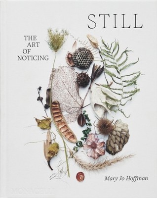 STILL THE ART OF NOTICING by HOFFMAN, MARY JO Hardback Self Help Business