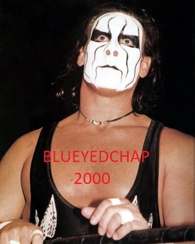 STING WRESTLER 8 X 10 WRESTLING PHOTO WCW | eBay