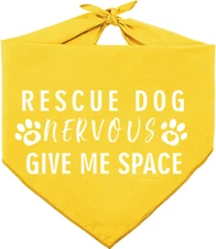 Nevous Give Me Some Space Dog Bandana Reversible Triangle Bibs Pet Scarf