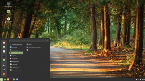 CLÉ USB LINUX MINT 21 VANESSA 64BIT BOOTABLE DRIVE LIVE & INSTALL - Photo 4/9