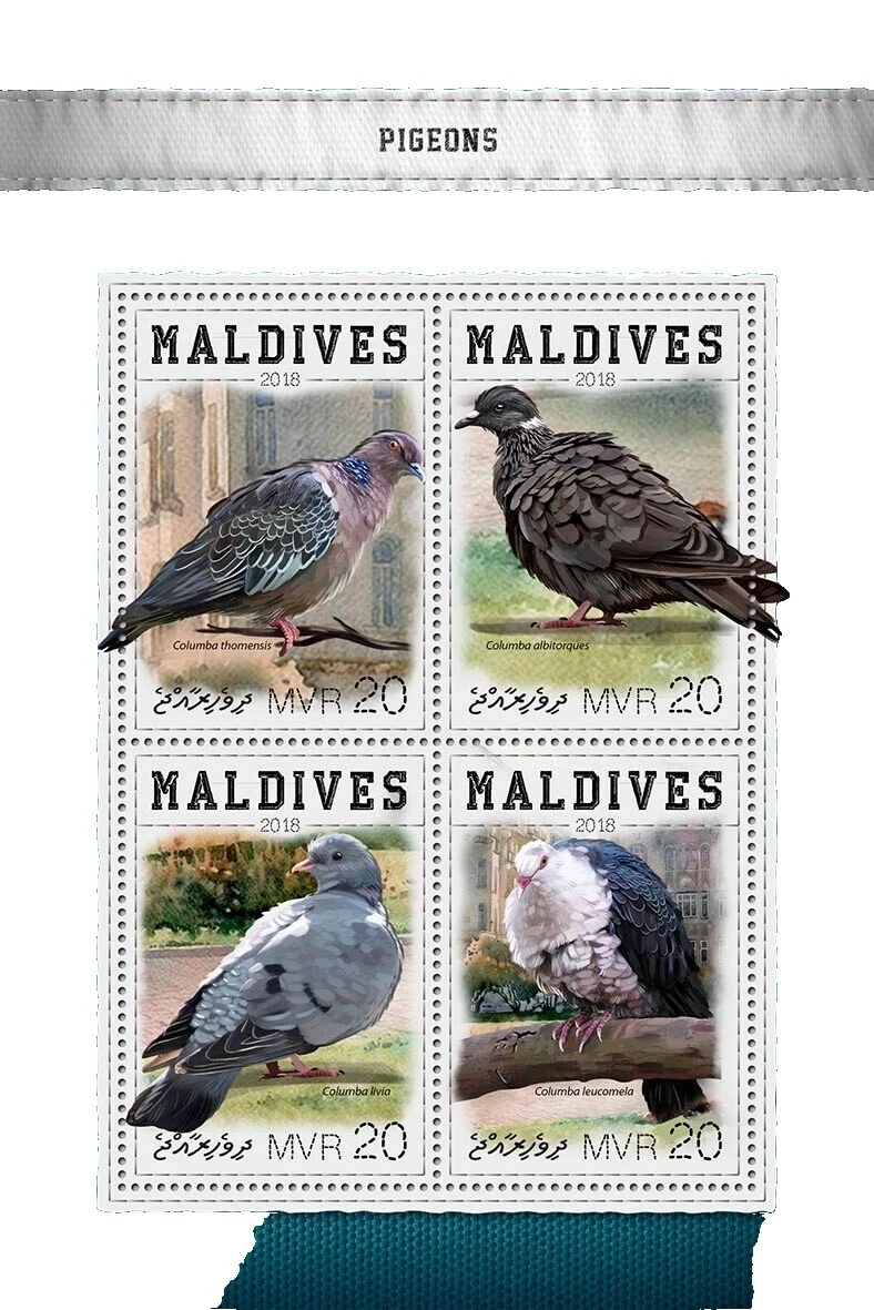 En excelente estado nunca abisagrado/estampillada sin montar o nunca montada Sellos Maldivas decimal (1965-presente)