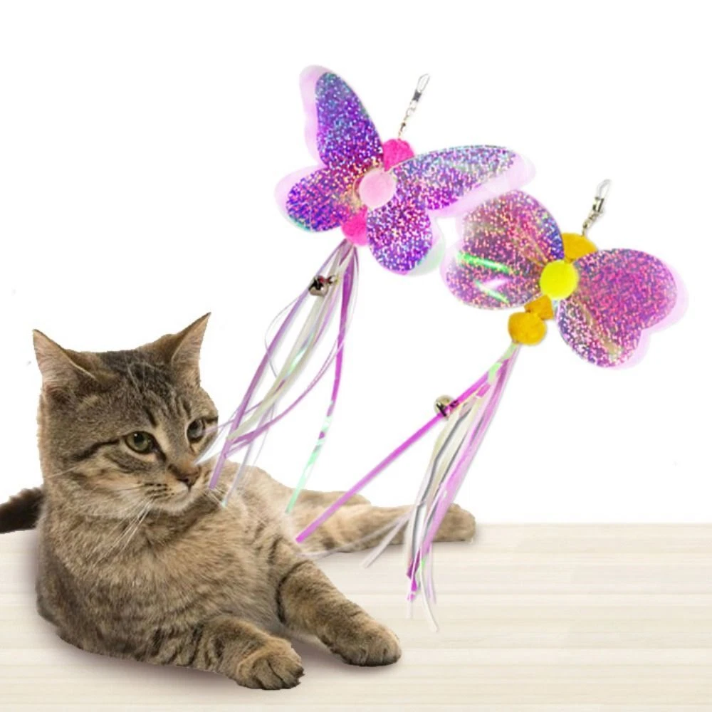 Kitten butterfly sale