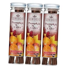 Scented Christmas Ornaments with Hooks - 3 Bottles (18 Sticks Pumpkin n Cider
