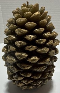 Large Natural Pine Cone for Crafting or Decorative Use
