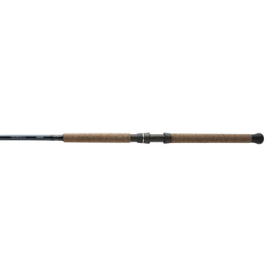 Shimano TECHNIUM STURGEON B, Freshwater, Salmon, Steelhead, Casting, 8'0'', He...