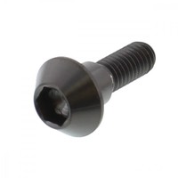 Bremsscheibenschraube Hinten M6X1.00 20Mm Titan Schwarz FüR Yamaha TDM 900 02-11