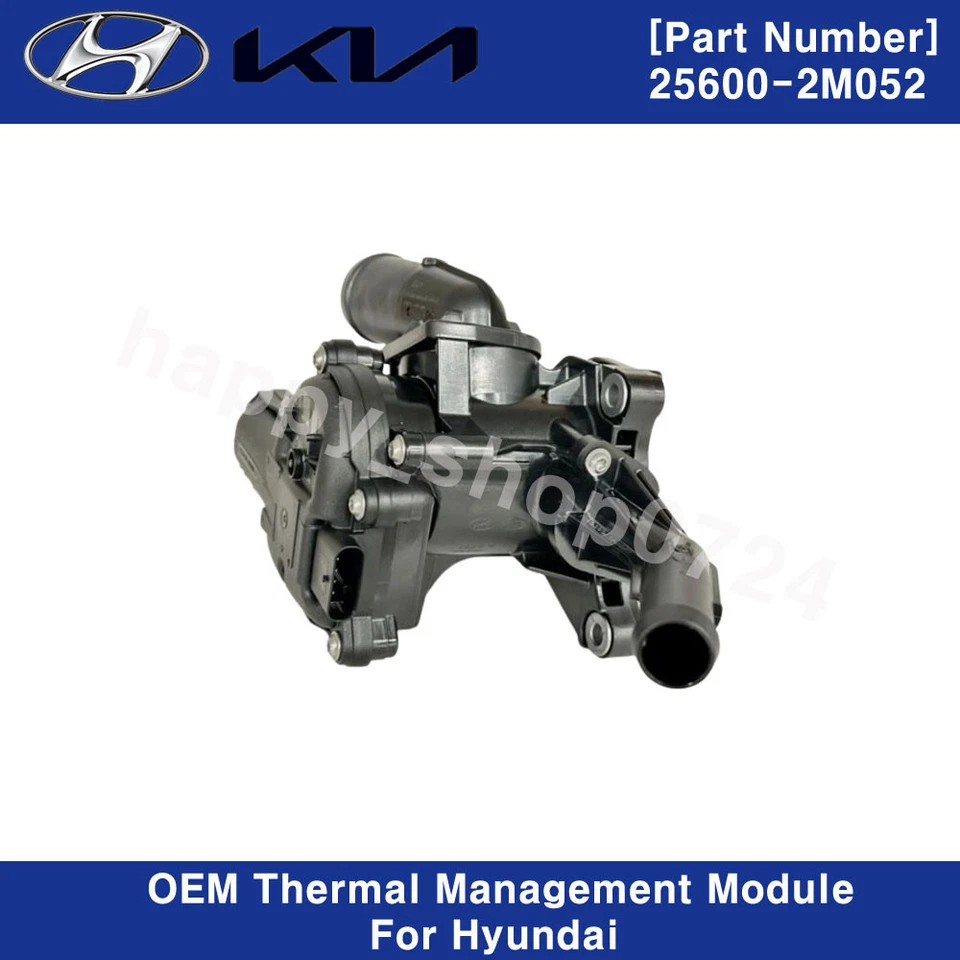 Módulo de gestión térmica genuino 256002M052 para Hyundai Accent Venue Elantra Foto 3 de 4