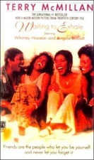 Waiting to Exhale by Terry McMillan (1993, Library Binding)