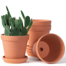 Orceler 6 inch Terracotta Clay Pots for Plants with Saucer, 6 inches, Brown