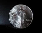 2000 Walking Liberty American Eagle 1oz .999 Fine Silver (Uncirculated)
