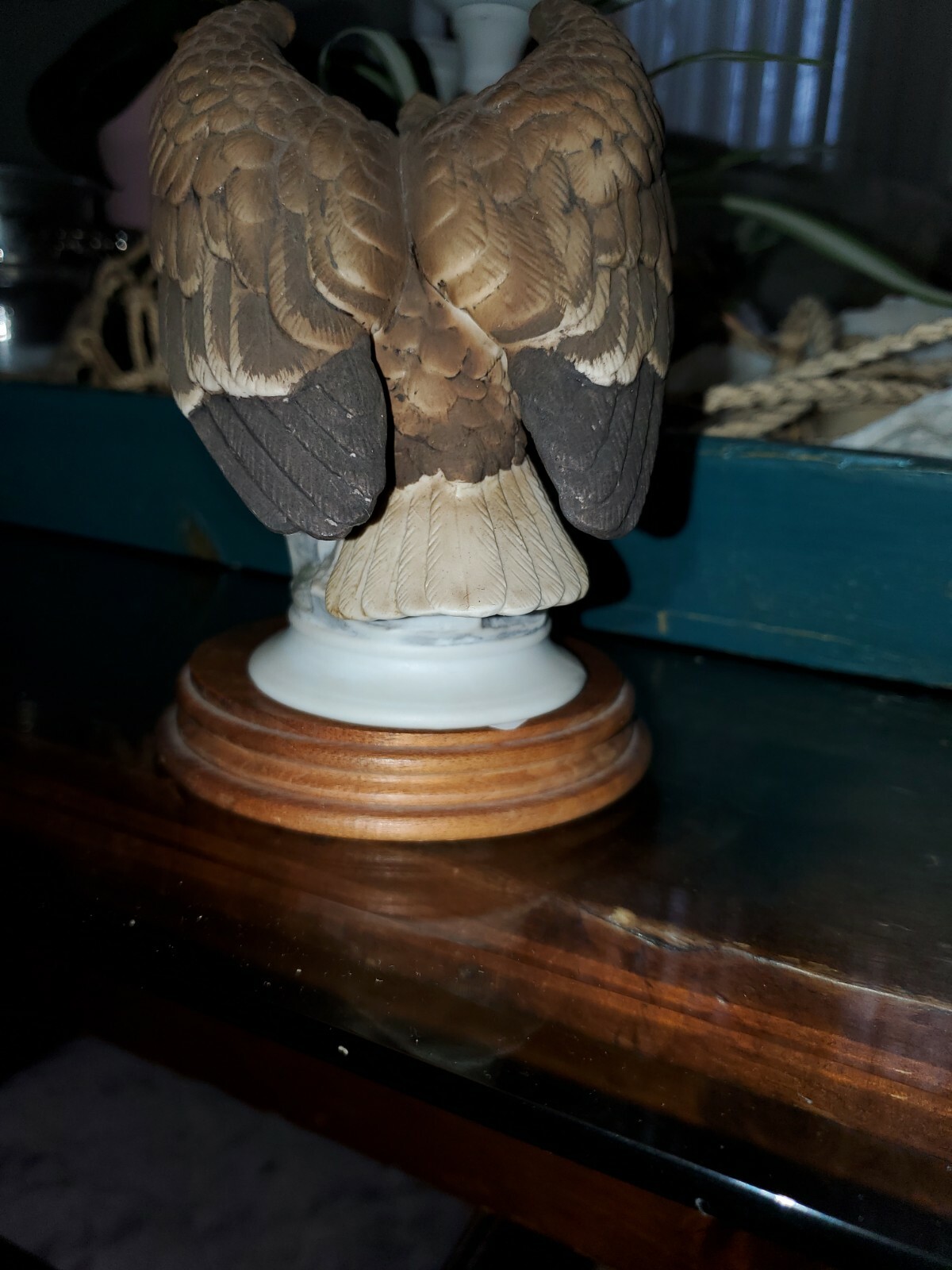 Picture 6 of 9