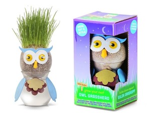 Kids Magic Owl Grass Head Grow Plant Hair Make Your Own Pot Toy