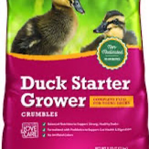 Duck Starter Grower Duck Food, Duck Pellets, Duck food 8 Pound Bag (Pack of 1) - 第 1/1 張圖片