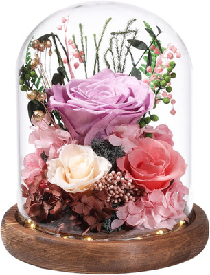 Flowers for Delivery Preserved Flowers with LED Light in a Glass Dome,Long Lasti