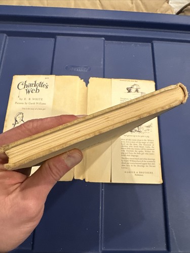 Charlotte’s Web EB White First Edition Early Printing 1952 HC DJ - Picture 16 of 16