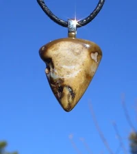 Petrified Wood Free Form Stone Crystal Pendant Necklace