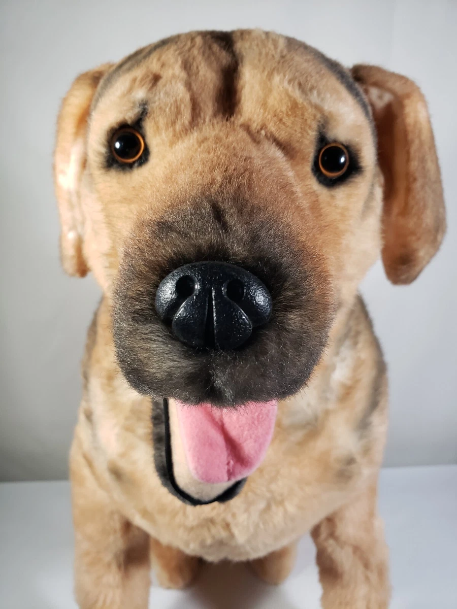 Cuddle Clones Realistic Stuffed Dog Plush Pet Custom One of a Kind 20