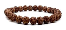 5 Mukhi Rudraksha Stretch Bracelet  8mm Bead Size  7.5 Inch Wrist Size 