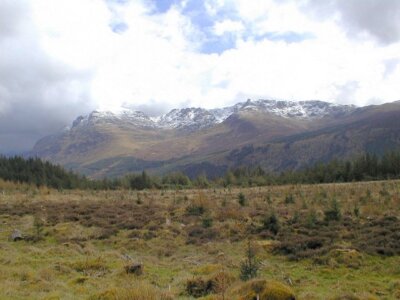 Foto 6x4 Kahlfällung Ennerdale Wald Dieses Gebiet wurde um 2008 klar gefällt
