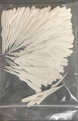 100 Pcs Plastic Tooth Picks Dental Floss Dental Care Oral Hygiene Tooth Picks