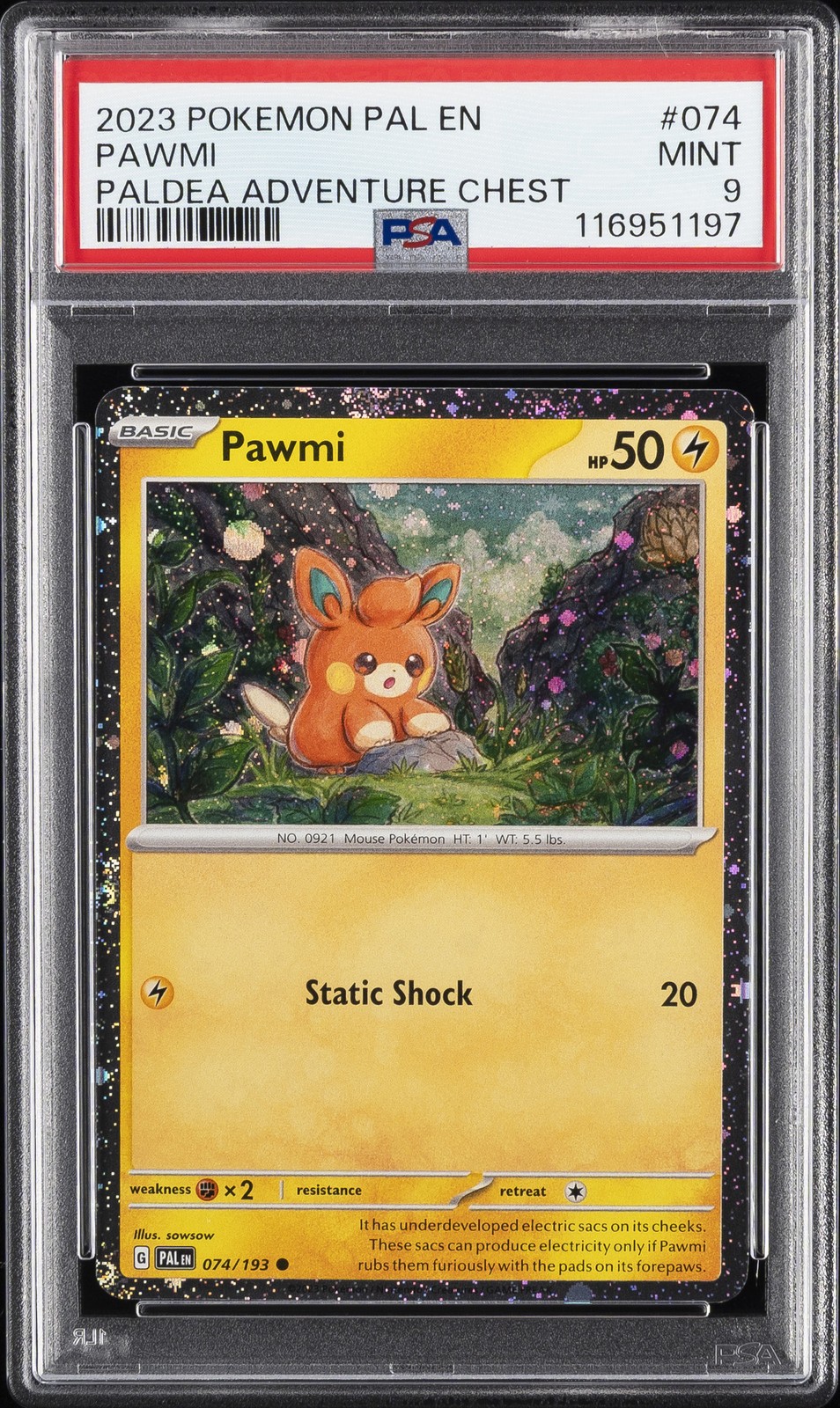 Pawmi #74
