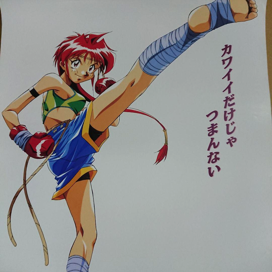 Ayane's High Kick Promotional Poster MiJ | eBay